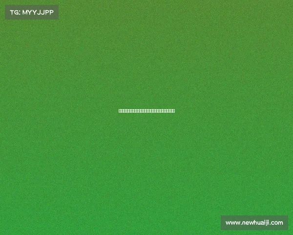 斯图加特与阿森纳就签下法比奥维埃拉展开谈判接触