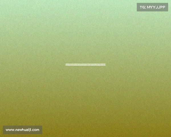 英超主帅点评：各队战术调整与表现分析揭示新赛季潜力与挑战